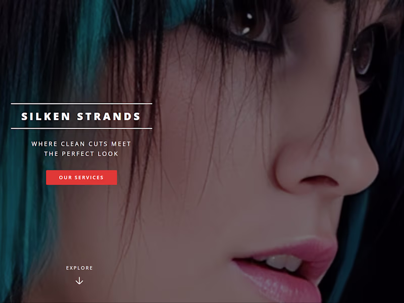 Cover image for Silken Strands
