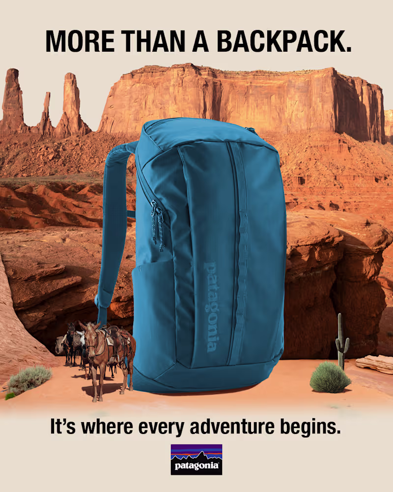 Cover image for Patagonia | Integrated Digital Campaign Concept