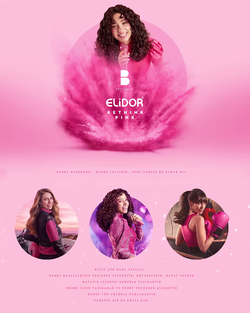 Cover image for Elidor Campaign