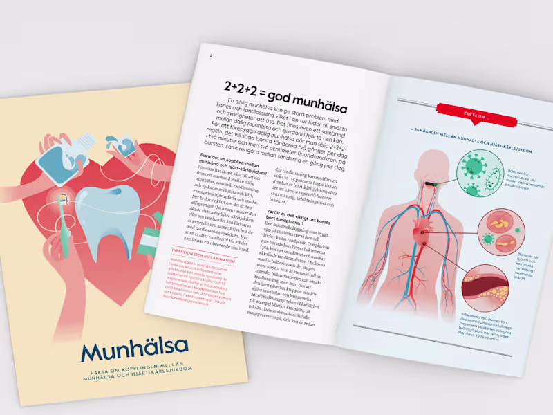 Cover image for Folder: Brush for the heart