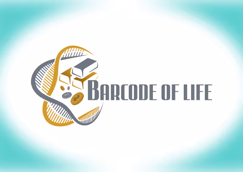 Cover image for Branding and Logo Design Project 