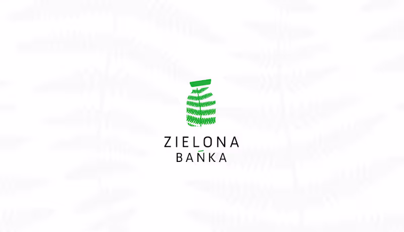 Cover image for Zielona bańka