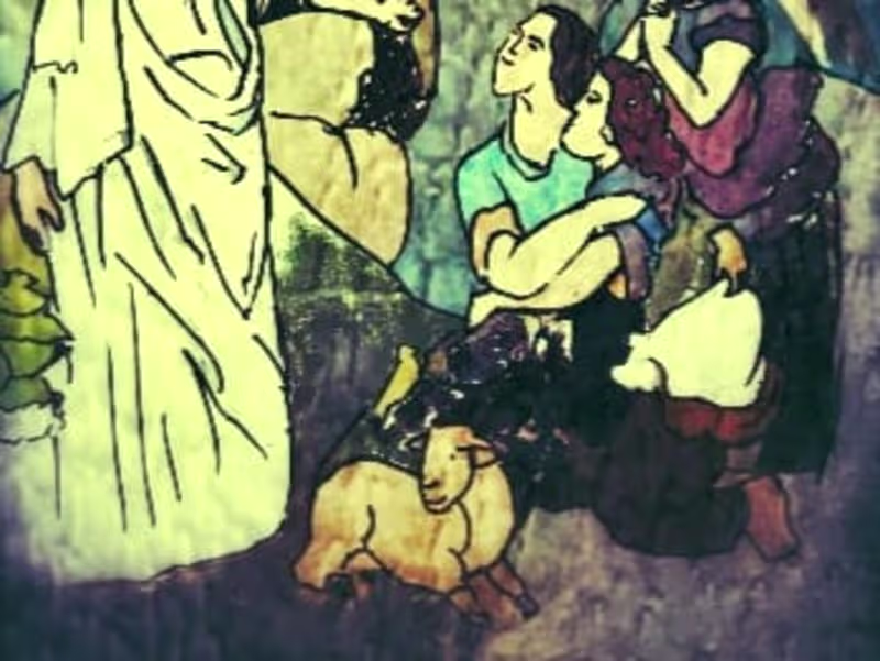 Cover image for Sacrifice of Noah 