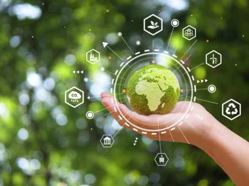 Cover image for "Sustainable Living: Tips for a Greener Lifestyle,"