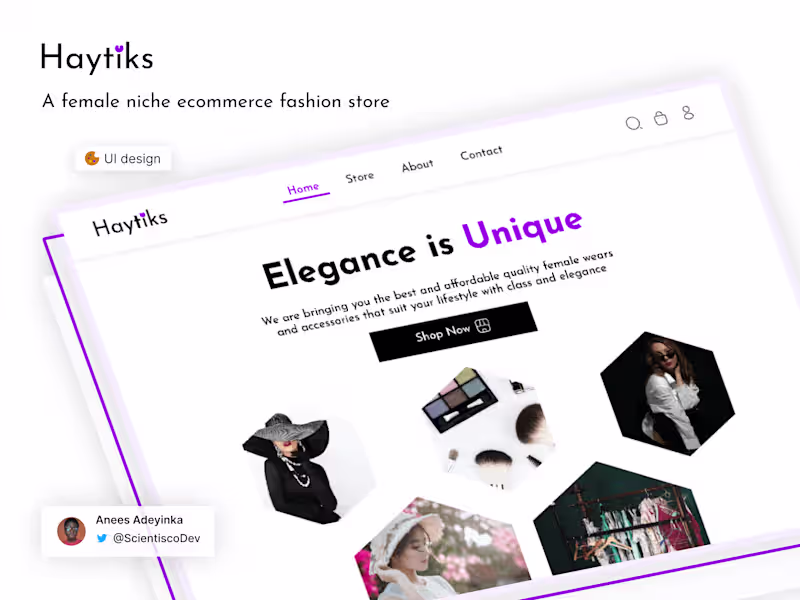 Cover image for Haytiks