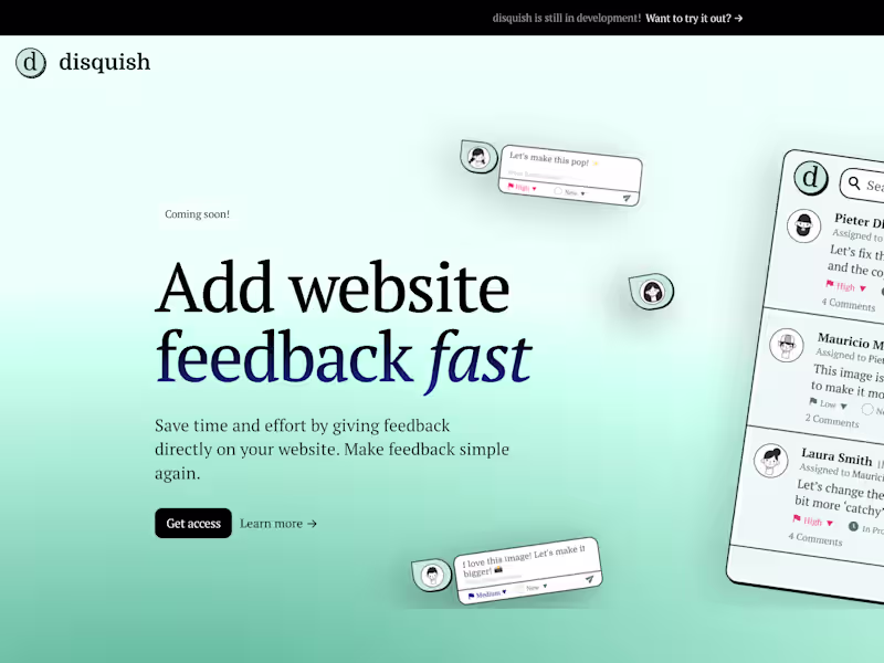 Cover image for Disquish Landing Page Development