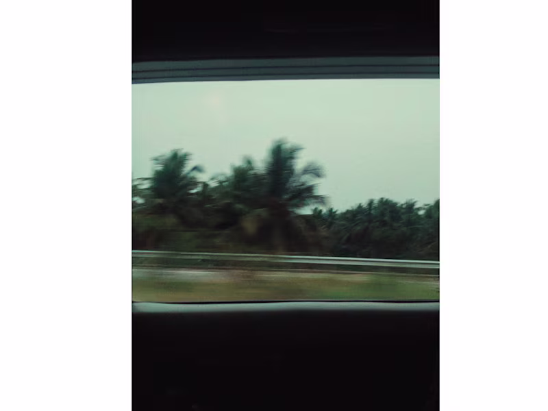 Cover image for Trying to capture a rushing