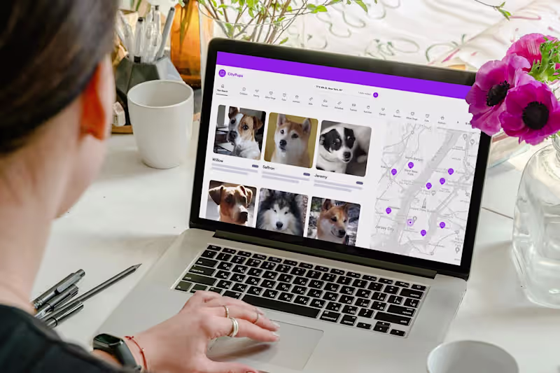 Cover image for CityPups Design Sprint: Increasing Dog Adoptions in Urban Environments
