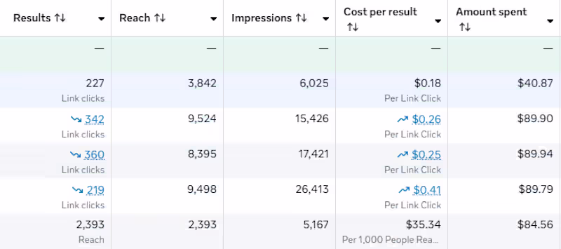 Cover image for 1 Month of Facebook Ads
