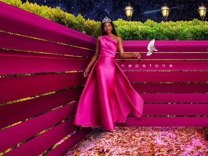 Cover image for Pink Houses [Not related to the American classic song lol]
