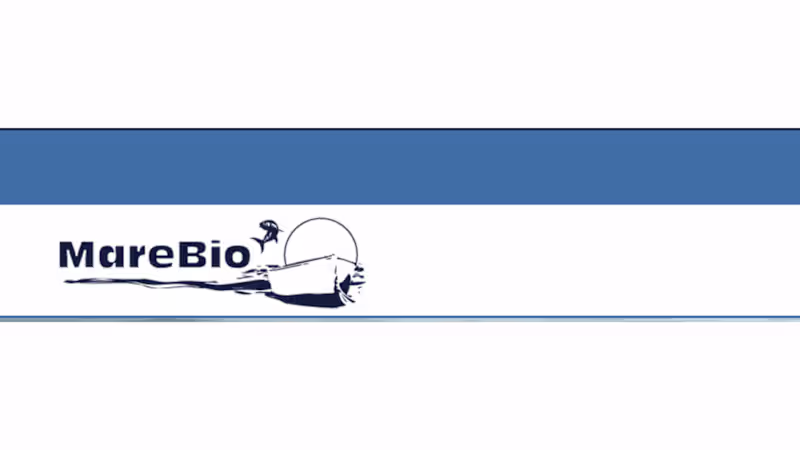 Cover image for Mare Bio