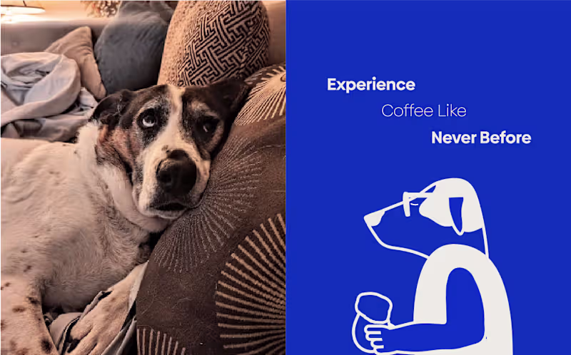 Cover image for Boost Your Dog's Energy with Dog Day Nitro Today!