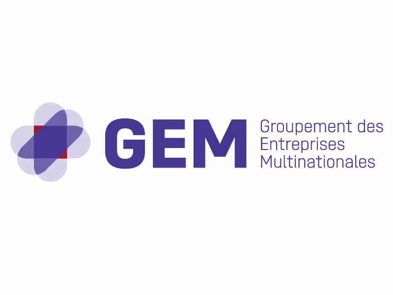 Cover image for Gemonline.ch Corporate Website Development