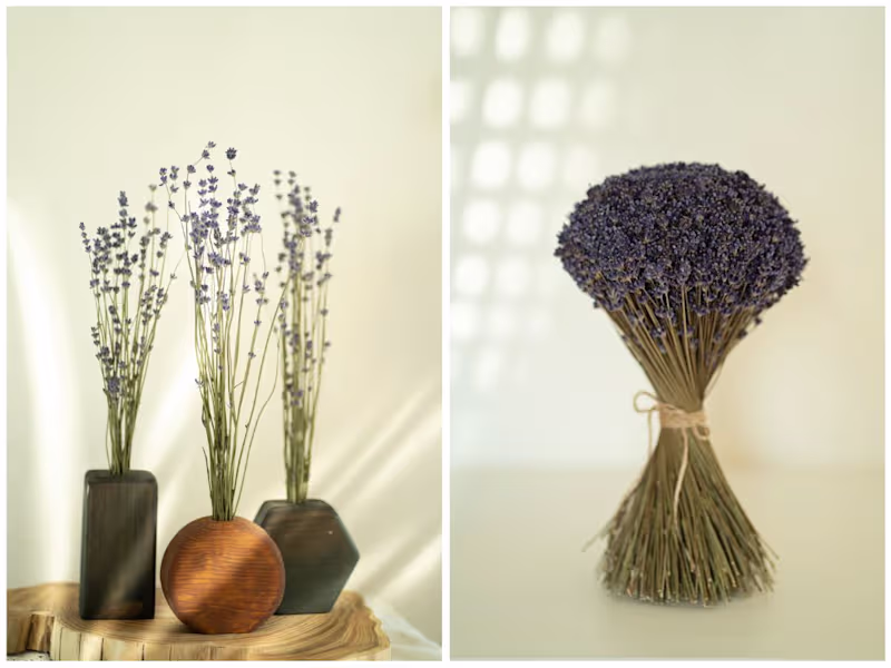 Cover image for Artistic Lavender Product Photography for Branding