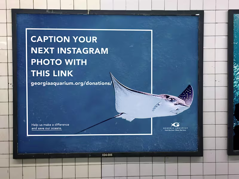 Cover image for Brand Marketing Design 