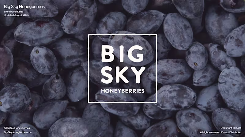 Cover image for Big Sky Honeyberries | Brand Identity and Launch
