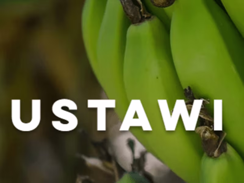 Cover image for USTAWI