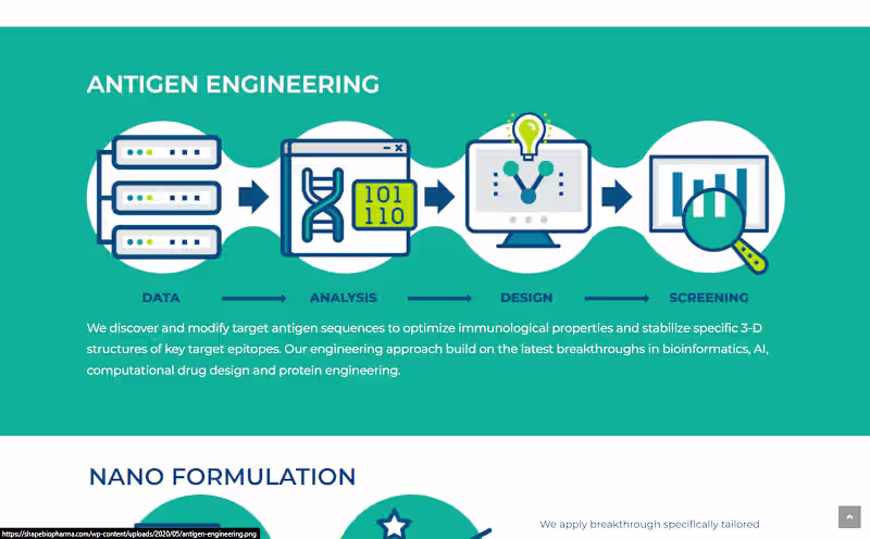 Cover image for As a key member of