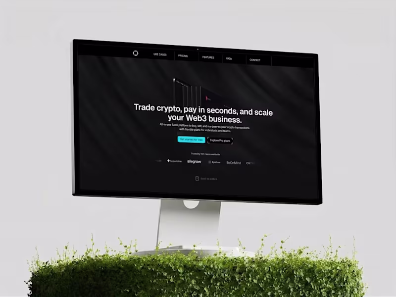 Cover image for PayFlow A high-quality Web3 SaaS