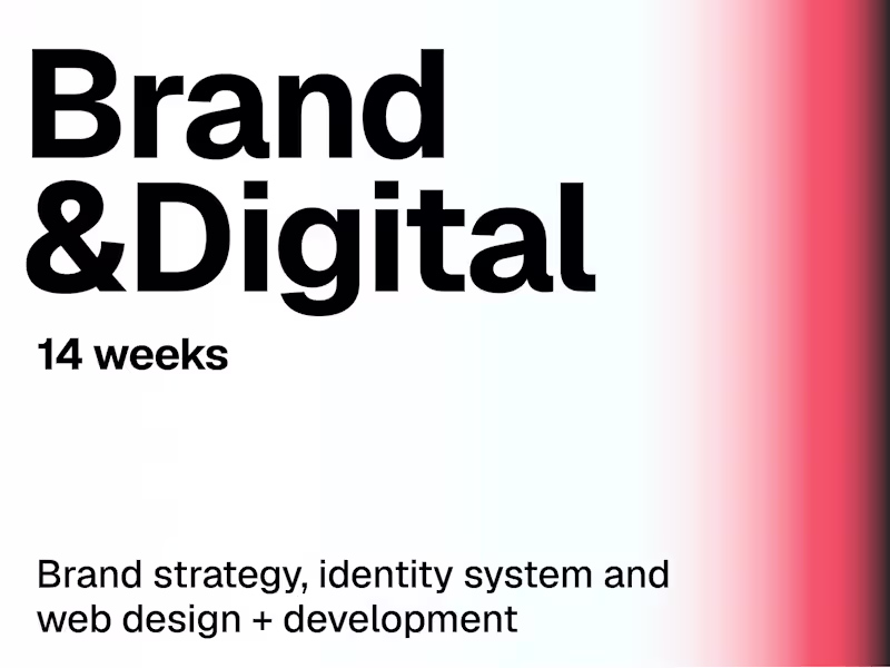 Cover image for Brand & Digital Launch