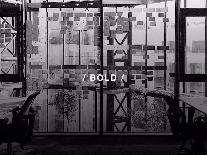 Cover image for / BOLD /
