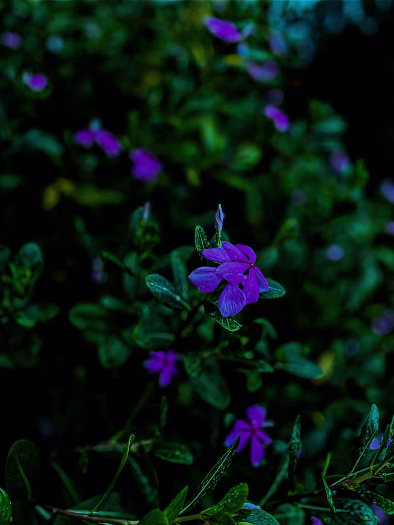 Cover image for Colour grading 