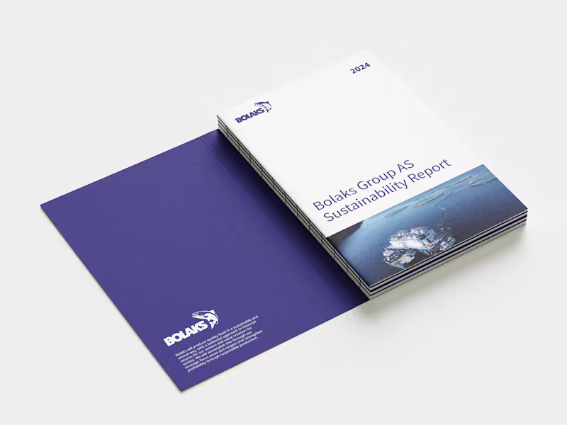 Cover image for Bolaks Sustainability Report Design