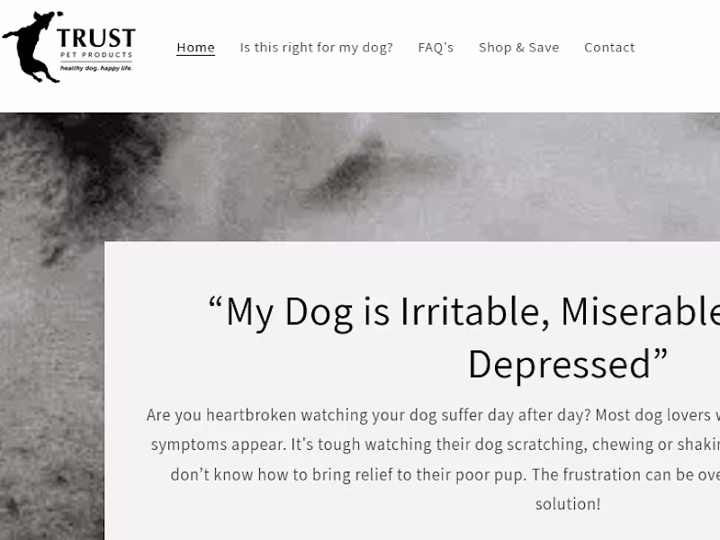 Cover image for Sales Page for Dog Health Supplement