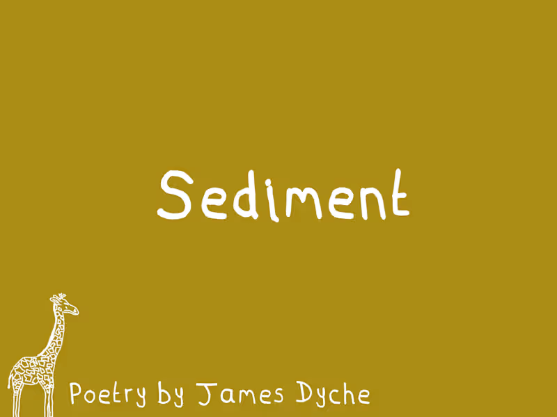 Cover image for 'Sediment' It’s always there, the sediment. All the bits and...