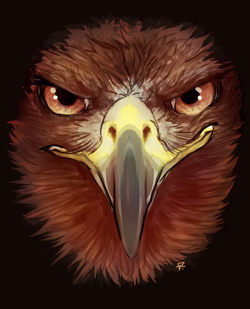 Cover image for Artwork