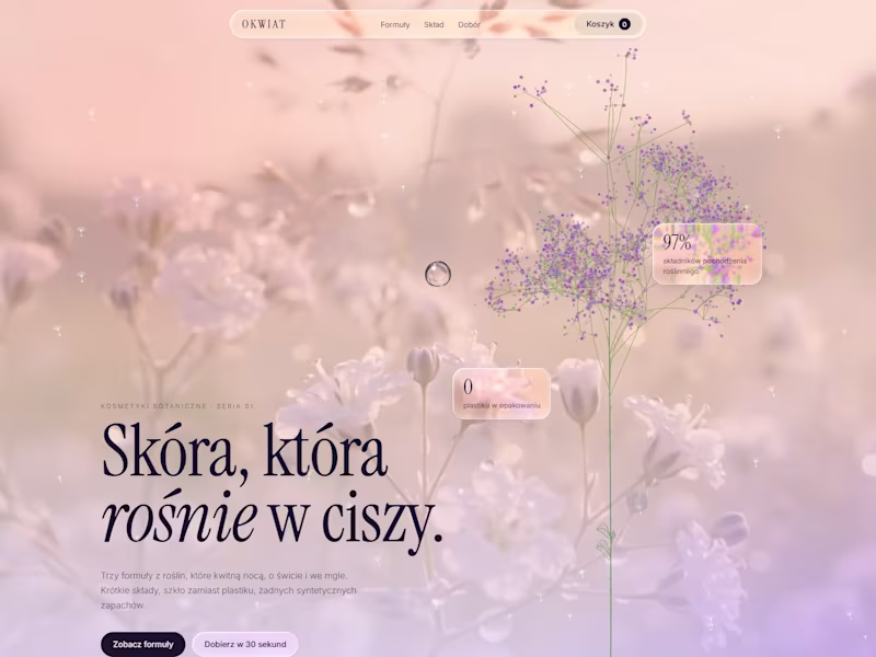 Cover image for Online store with a world of its own — custom or Shopify