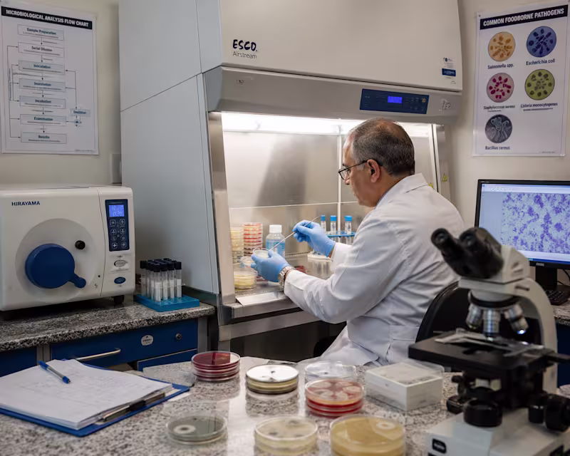 Cover image for Microbiological Lab Report Audit &