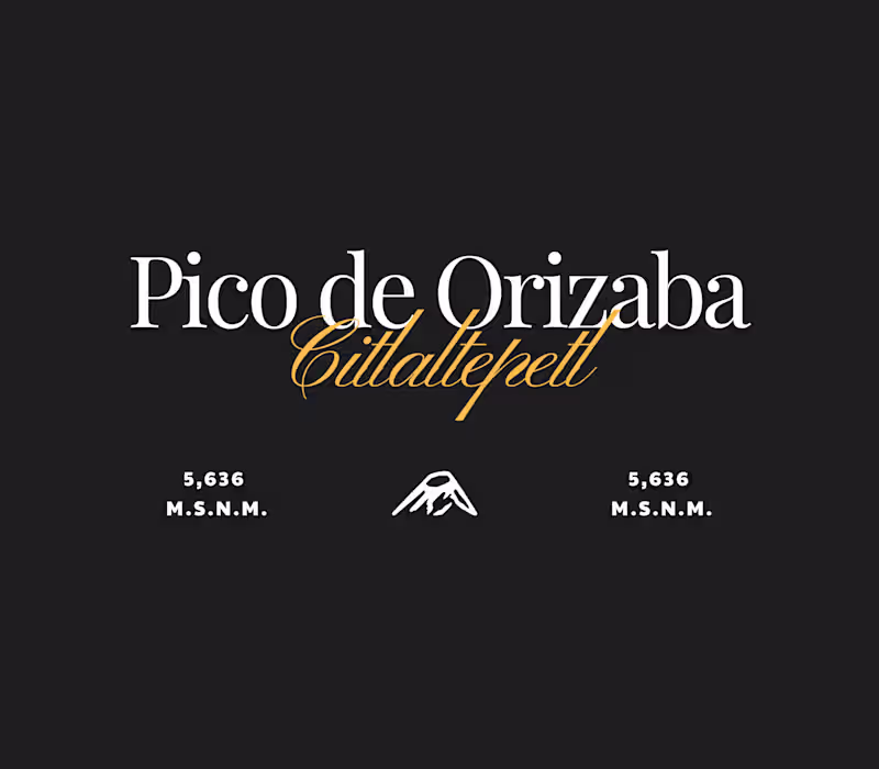 Cover image for Identidad Visual: El Pico Project