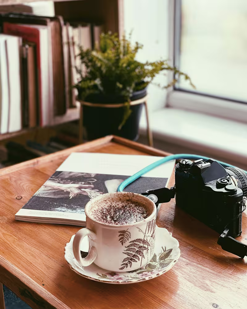 Cover image for AUTUMN VIBES