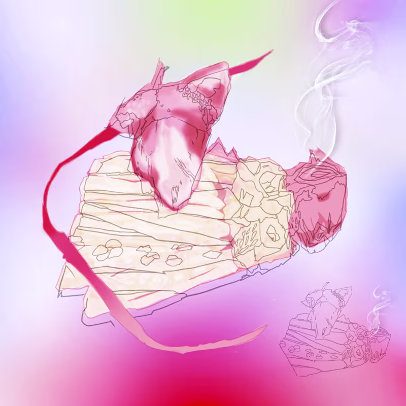 Cover image for Cover Art and Illustration work