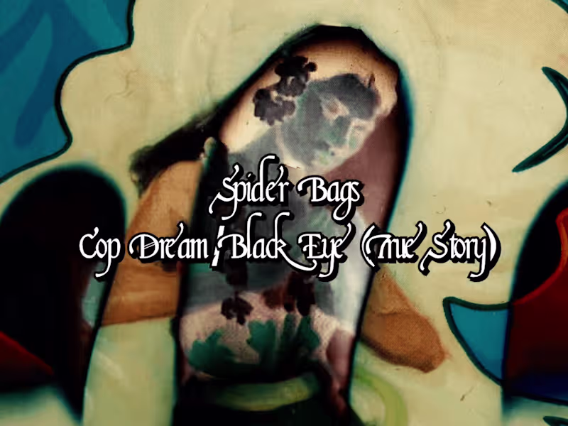 Cover image for Spider Bags - Cop Dream | MUSIC VIDEO