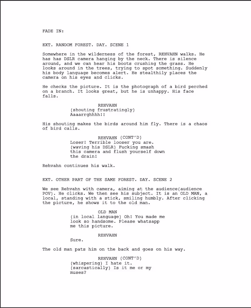 Cover image for I'll develop your rough idea into a formatted screenplay