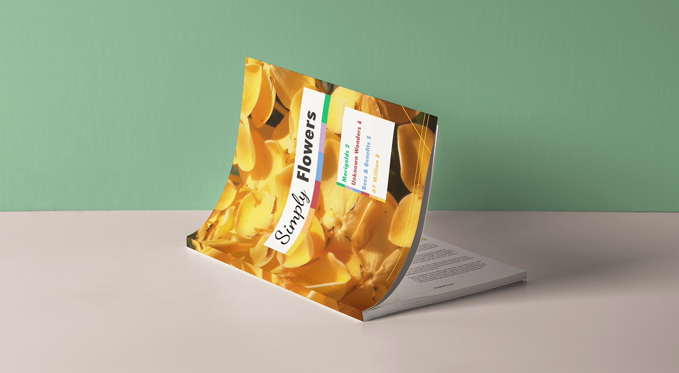Placeholder project card media