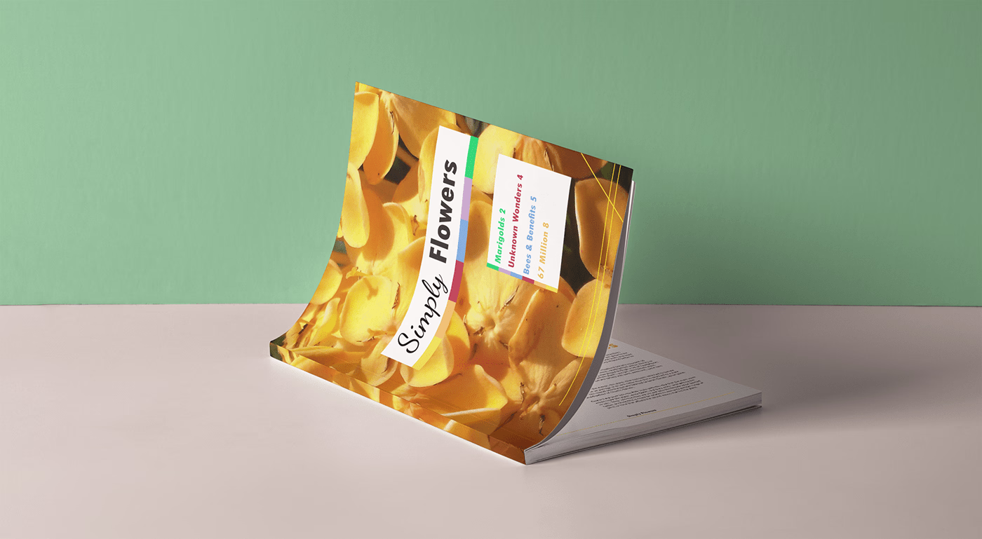 Placeholder project card media