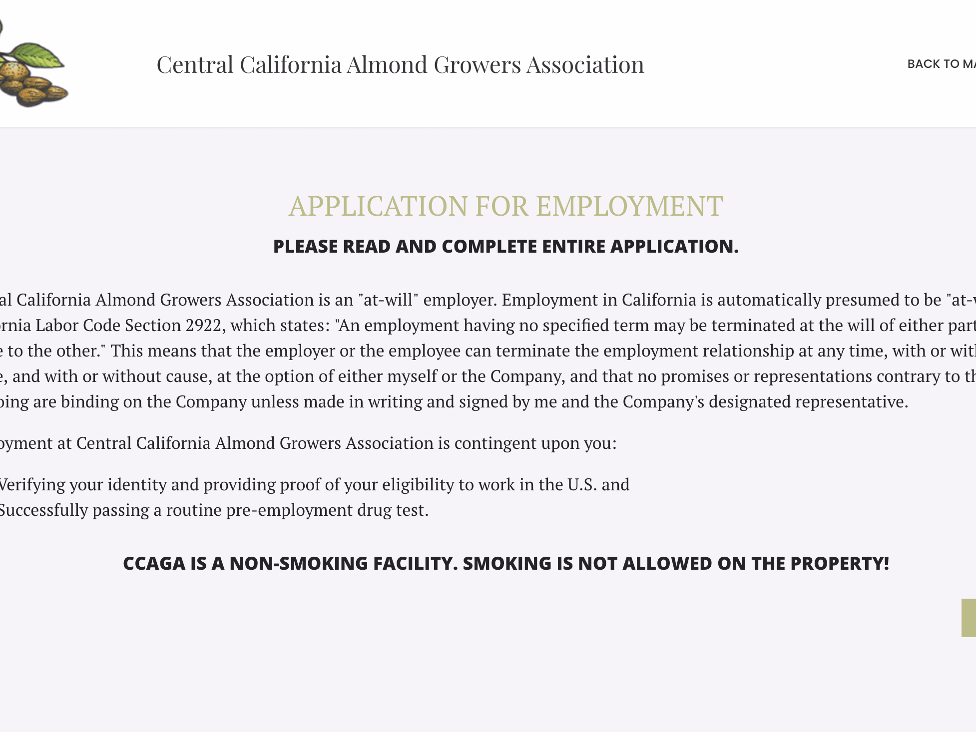 Placeholder project card media