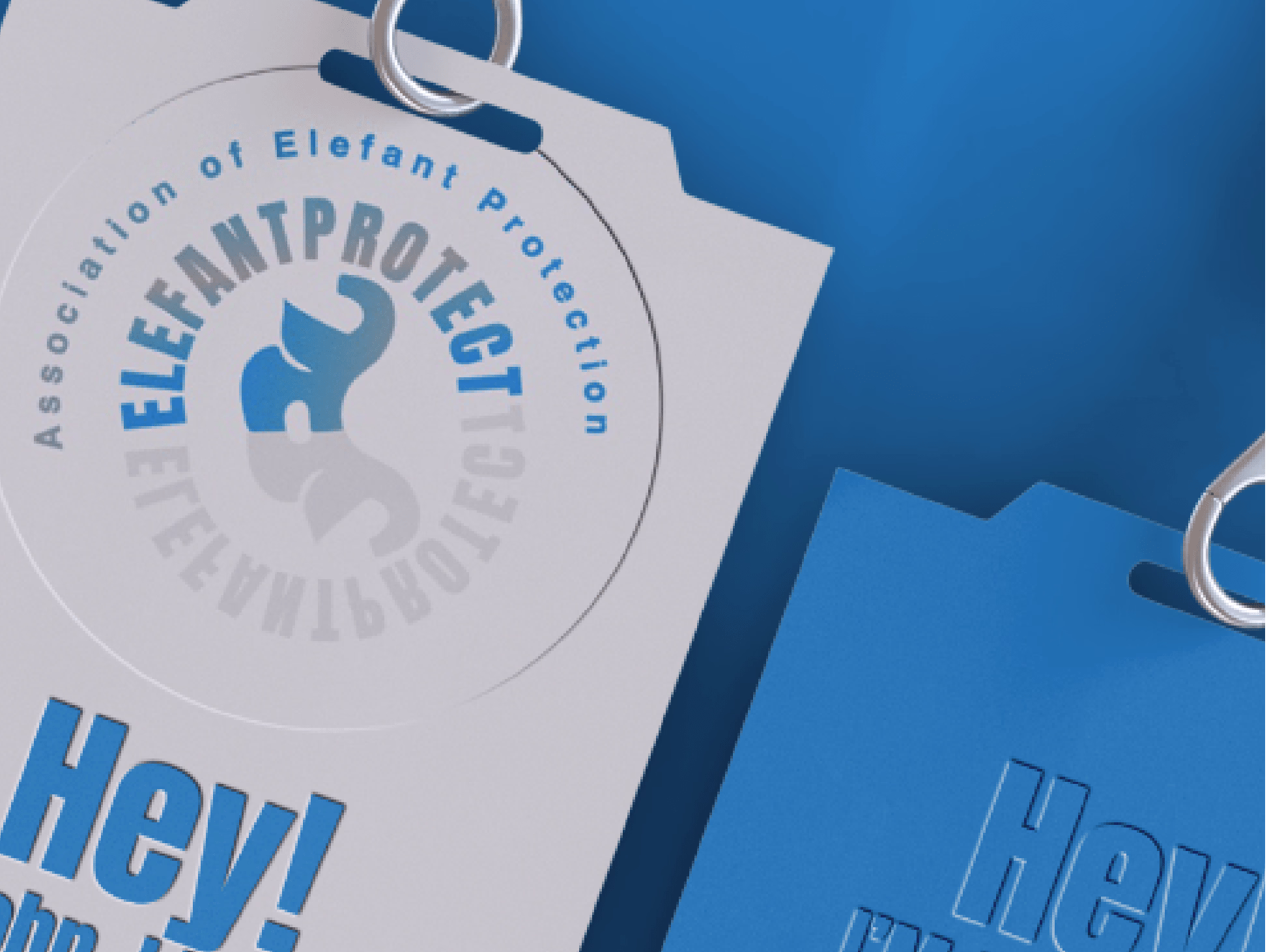 Placeholder project card media
