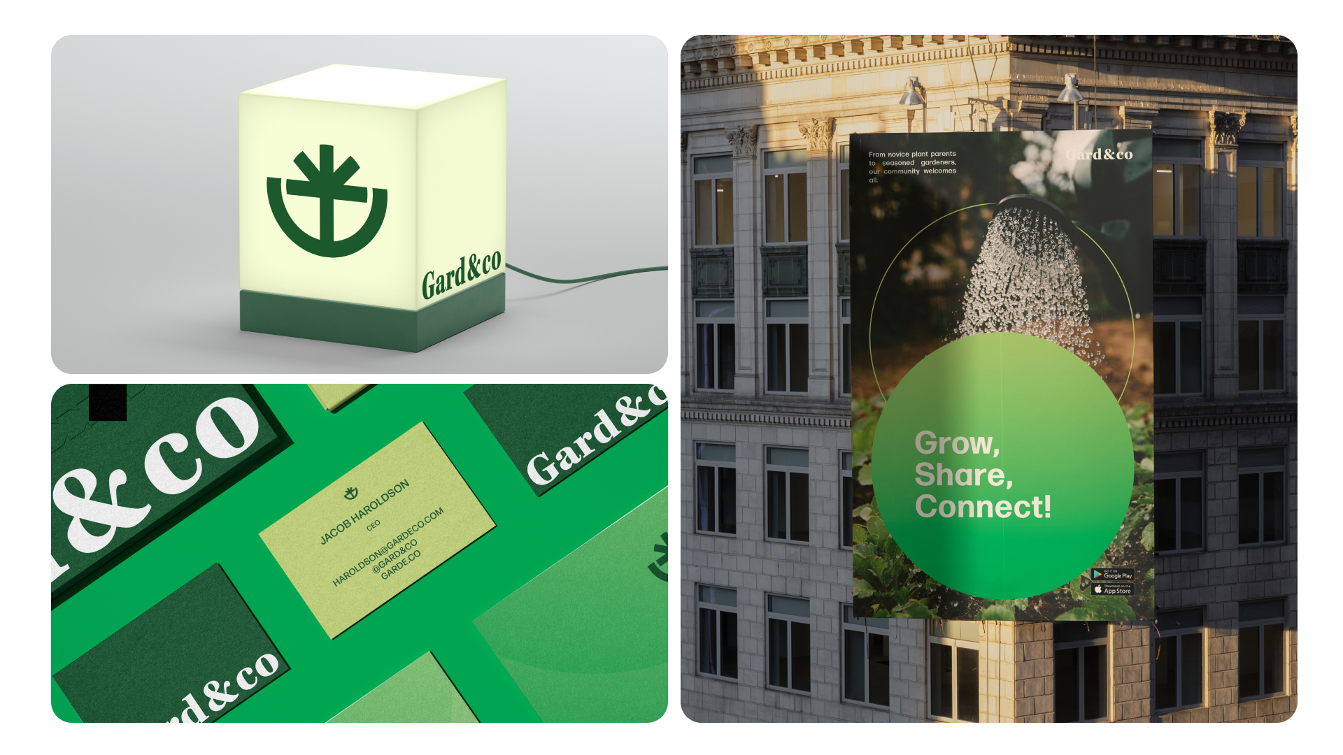Placeholder project card media
