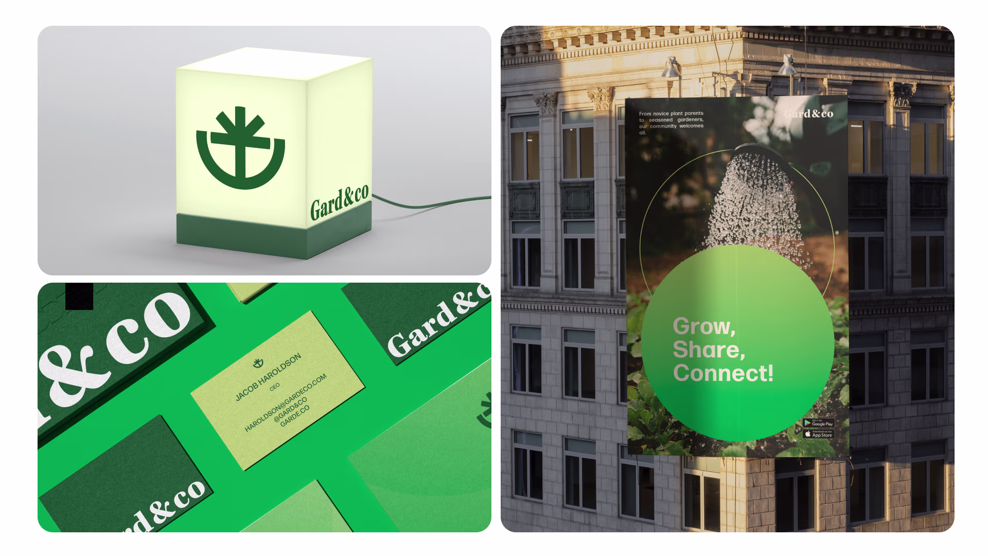 Placeholder project card media