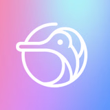 Placeholder project card media