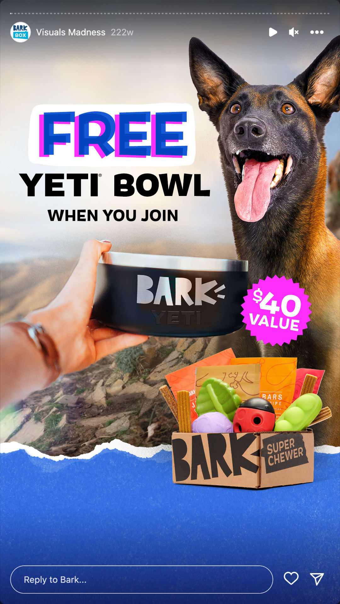 How to get a free Yeti dog bowl with BarkBox 