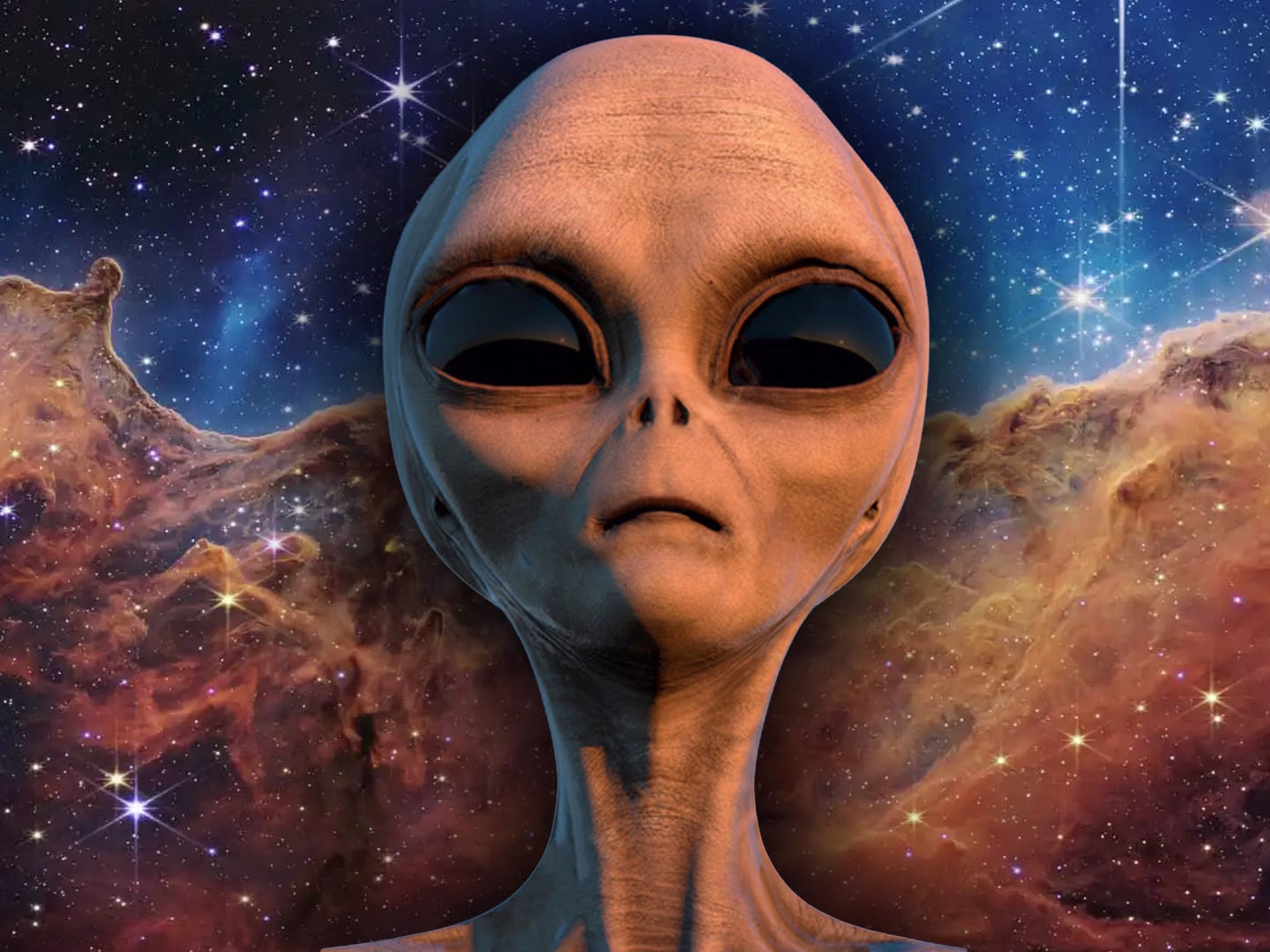 Placeholder project card media