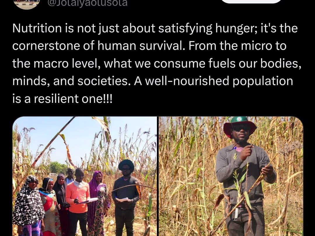 Placeholder project card media