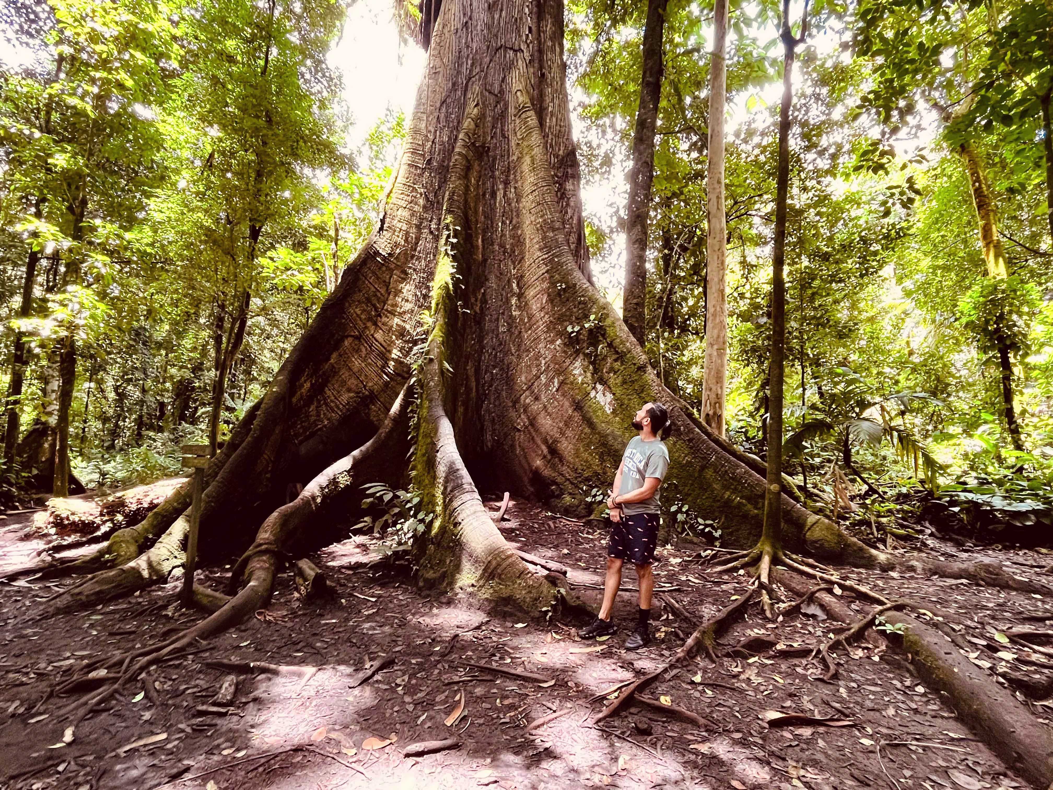 Placeholder project card media