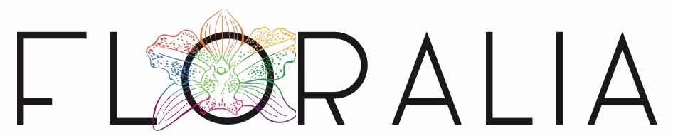 Placeholder project card media