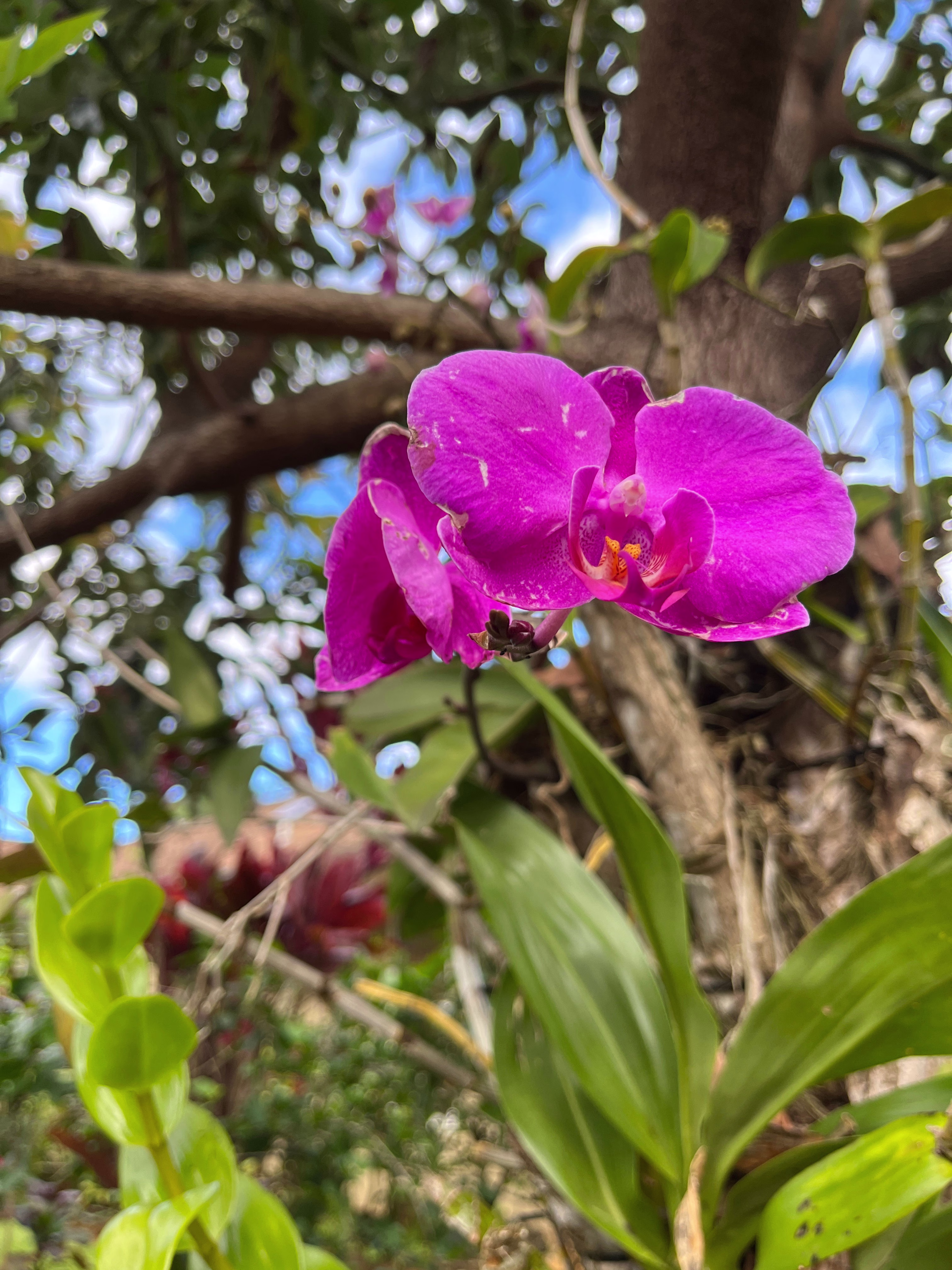 Placeholder project card media